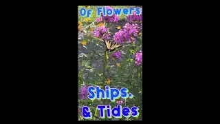 Of flowers ships and tides - 3 poems by Emily Dickinson