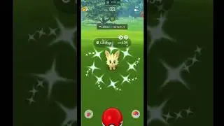 I got shiny Lillipup#shorts