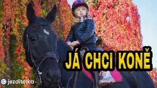 PROČ SI NEKUPOVAT KONĚ