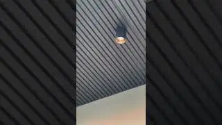 Surface LED Light for Ceiling Philips Surface Light