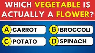 Can You Score 30+? 🎓 50 General Knowledge Quiz Questions!