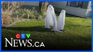 Regina police alert parents after needle-like metal found in Halloween candy