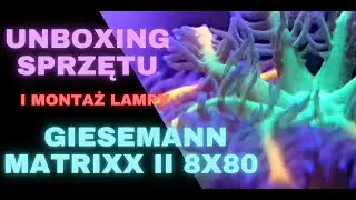 Reef Design | Budowa fragtank&oacute;w | Unboxing grat&oacute;w i montaż Giesemann Matrixx II 8x80 | odc. 5