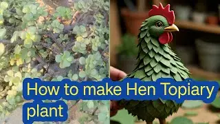 How to make Hen Topiary plant || Make a hen shape plant in just five minutes || Only 5 minutes