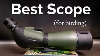 The Best Spotting Scope Under $1,000 for Birding | Hawke Endurance 25-75x85mm Spotting Scope