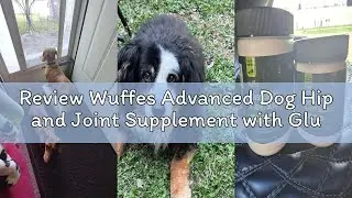 Review Wuffes Advanced Dog Hip and Joint Supplement with Glucosamine, Chondroitin, Omega 3, MSM, and