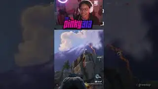 dont do it! | #mspinky313 on #Twitch #fortnite