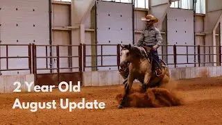 2 Year Old Reining Prospect - 7 months riding