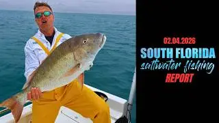 SOUTH FLORIDA SALTWATER FISHING REPORT (02/04/2026)