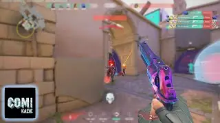 THE SPINS