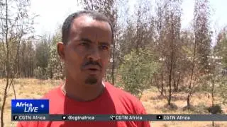 Residents of Koshe dumpsite reluctant to leave despite tragedy