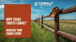 Why Texas Trusts Cobalt&reg; | Kubicek Turf Farms Story