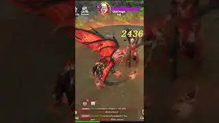 Age of Ashes : Dark Nuns Sorcerer Vs Boss