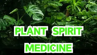 Unlock The Secrets of Plant Spirit Medicine