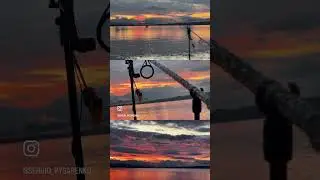 Arizona Sunset 🌅 #fishing#commoncarp #carp #carpangling #carpangling # Ukrainian_carp_angler_USA