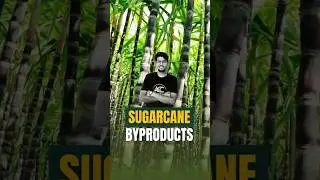 || Sugarcane Byproducts ||