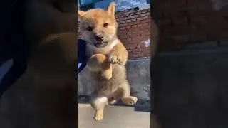 Million - View Clip on China's Tiktok ( p101 ) #shorts #funny #1996gaming #funnyvideo