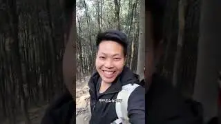 #重庆 #歌乐山911 确实牛  值得来一趟