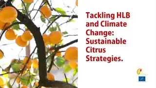 Tackling HLB and Climate Change: Sustainable Citrus Strategies.