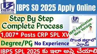 IBPS SO Application Online 2025|IBPS CRP SPL XV Apply Online 2025 Telugu|IBPS IT Officer Application