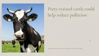 Current Science Event: Potty-Trained cattle could help reduce pollution