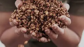 Zest Coffee in Collaboration with the Jack Murat coffee farm in Queensland, Australia.