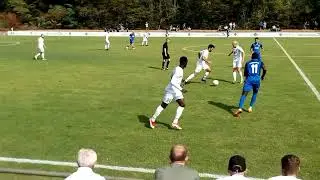 G&ouml;khan Kaya #8 | Woodles 💙🖤