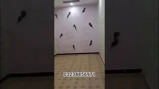 shahdara NS dealer demand 40lakh