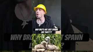 Faze Adapt Spawns New Hat Like Custom Character #funny #streamer #fazeclan #fazeclips