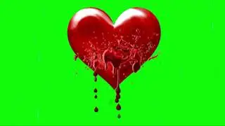 Heart Blooding Green Screen Animation Effects effects | VK STUDIO 2018 SCREEN