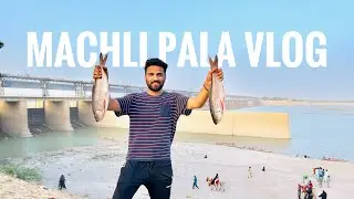 MACHLI PALA VLOG | UMAID | SINDHU DARYA | AL-MANZER JAMSHORO