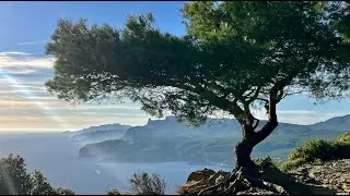 Cassis, Goult, Sanary sur Mer