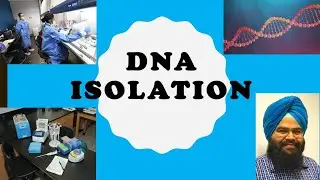 Molecular Biology Workshop - Simranjit Singh -19th June 2021