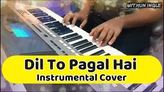 Dil To Pagal Hai ( Pehli Pehli Baar Milata Hai Yahi ) I Instrumental Cover