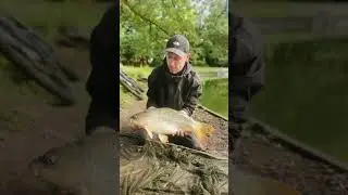 #carpfishinguk #fishing #breamfishing #carp#carpfishing #carpfishinguk