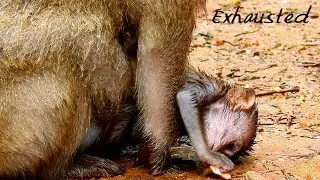 COOL DEEP HEART MOM | Million Pity Baby Daniela Become Like This Cuz Dana Less Care Baby.