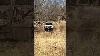 2013 Ford Raptor playing in some mud