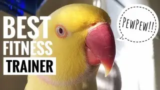 Bowie The Fitness Trainer