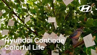 2025 Environmental CSV Campaign ‘Colorful Life’ | Hyundai Continue