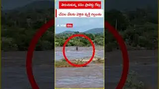కడెం ప్రాజెక్టులో వ్యక్తి గల్లంతు #heavyrain #kademproject #kadem  #ABPTeluguNews #ABPDesam