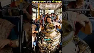 Brave Neelu and the Lion Saved a Pregnant Woman from a Deadly Snake 😭🦁 #shorts