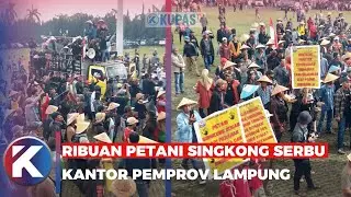 Ribuan Petani Singkong Serbu Kantor Pemprov Lampung, Tuntut Penerapan Harga Singkong Rp1.400