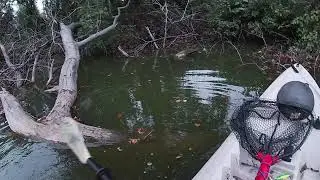 Whitehurst Hole