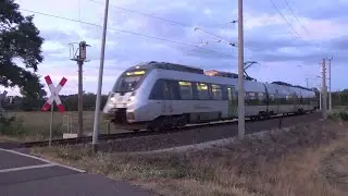Züge in Falkenberg (Elster) – Die Eisenbahnstadt