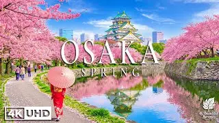 Spring In Osaka 4K - Relaxing Music With Beautiful Nature Landscapes | 4K Ultra HD