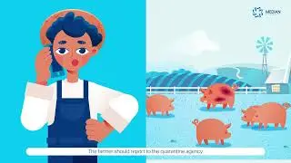 [MEDIAN Diagnostics] African Swine Fever (ASF) Total Diagnostic System
