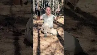 #survival #cooking #bushcraft #wombat #outdoors #building #camping #food