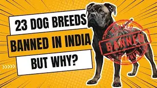 23 Dog Breeds Banned by the Indian Government | List of 23 Banned Dog Breeds in India.