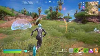 Fortnite Zero Build Battle Royale Win