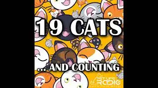 19 Cats and Counting Episode 43 Cat Tips, Tricks And Advice With Kristen Levine